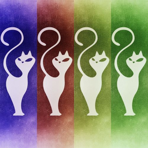 cat abstract background