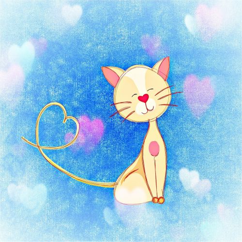 cat heart cute