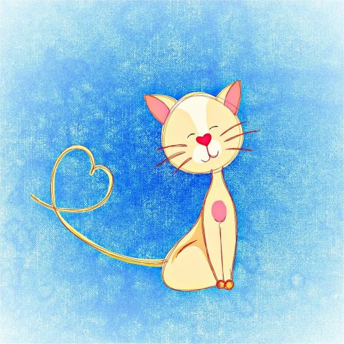 cat heart cute