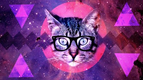 cat background design