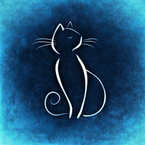 cat drawing animal