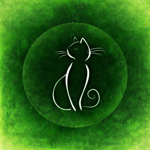 cat background image canvas