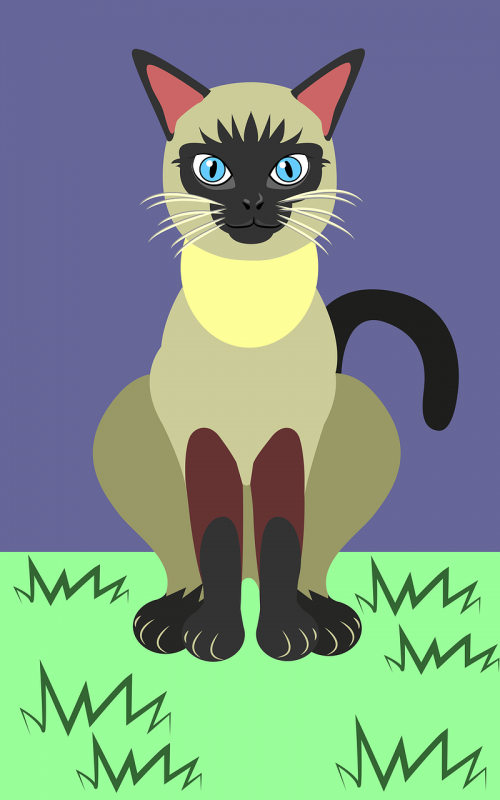 cat vector illustration