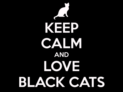 cat black cat keep calm