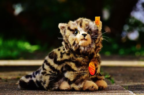 cat stuffed animal cute