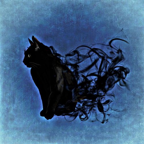 cat mystical abstract