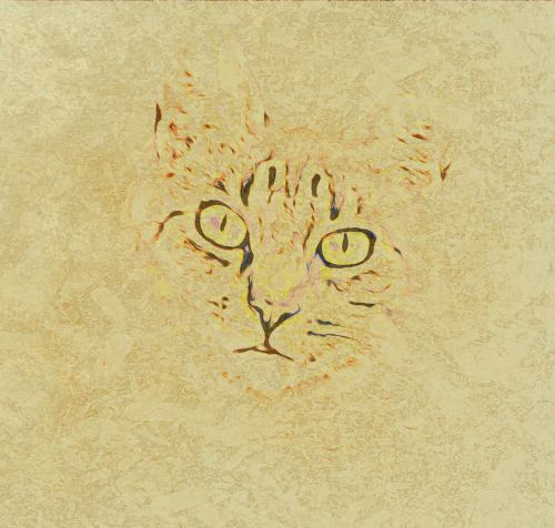 cat drawing art sepia