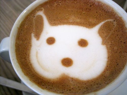 Cat Face Cappuccino