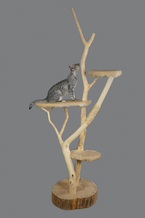 cat furniture cat scratching post