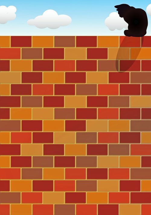 cat on brick wall  cat  sky