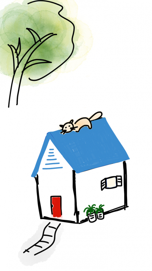 cat roof house
