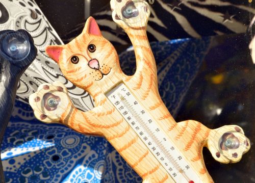 Cat Thermometer