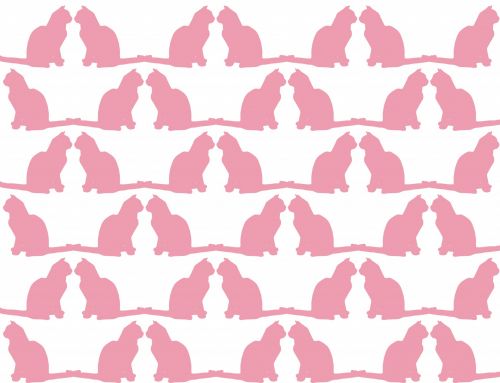 Cat Wallpaper Background Pink