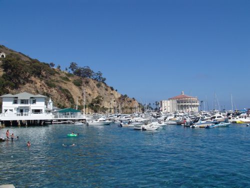 catalina island sea