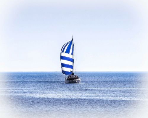 catamaran sailing sailboat