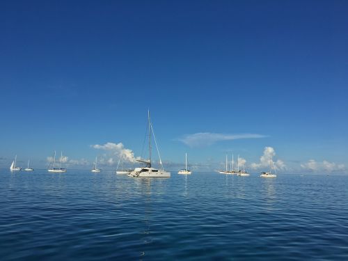 catamaran sea caribbean