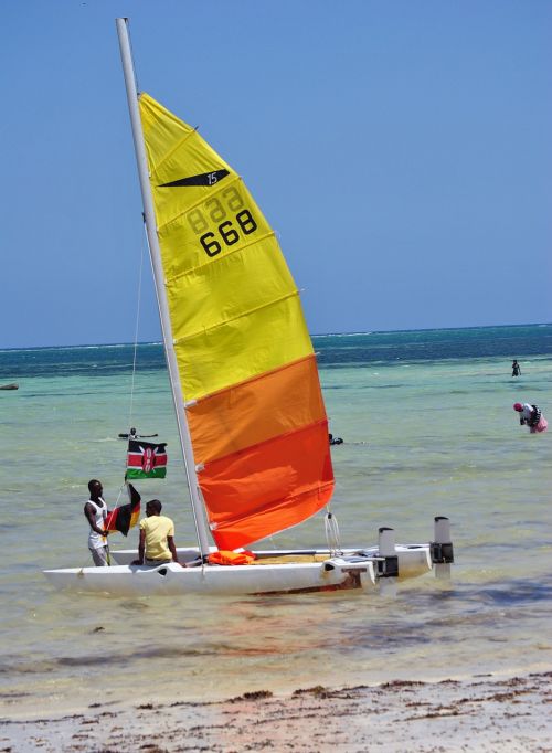 catamaran boat sailing
