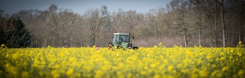 catch crop  tractor  field