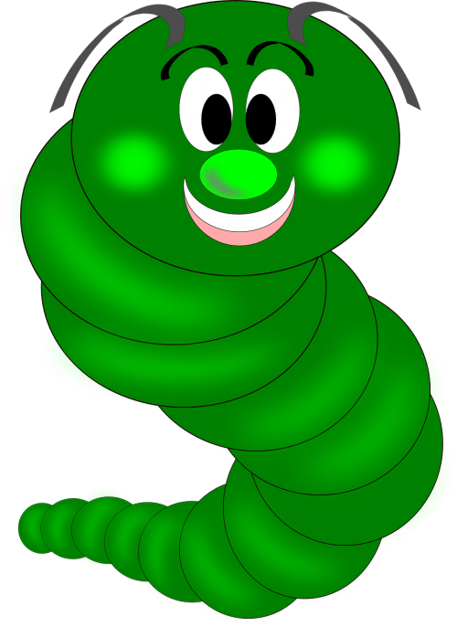 caterpillar worm eruca