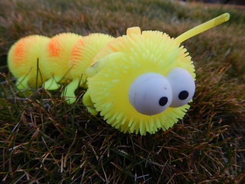 caterpillar toy yellow