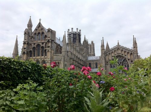 ely uk cathedral garden