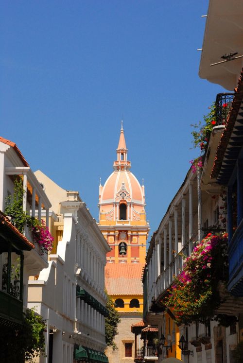 cathedral dome cartagena