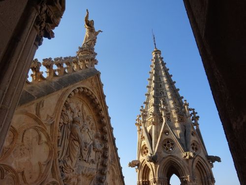 cathedral palma the seo