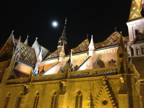 cathedral budapest night