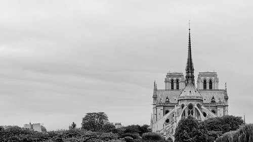 cathedral  notre-dame  paris