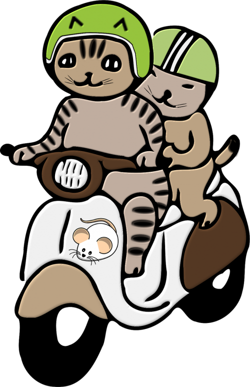 cats helmet png