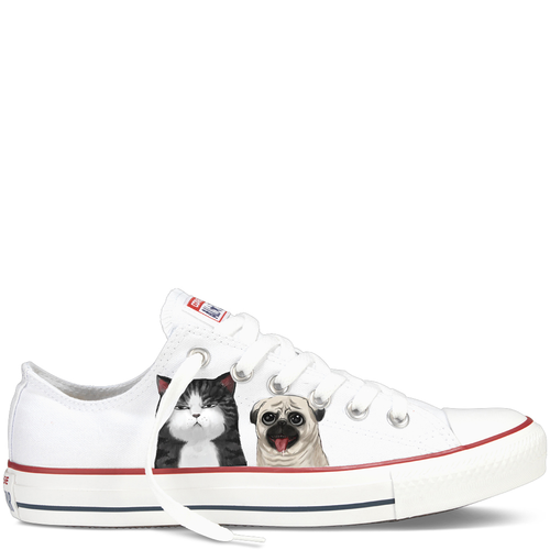 cats  dog  shoes