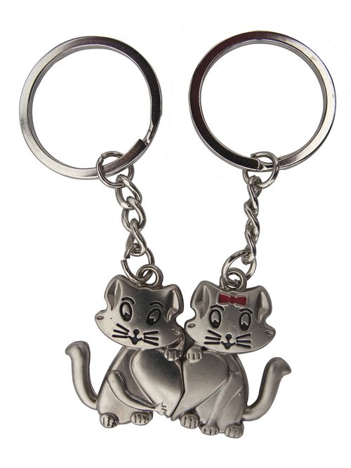 cats  door-keys  key