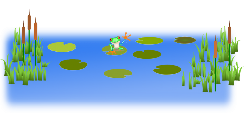 cattails frog pond