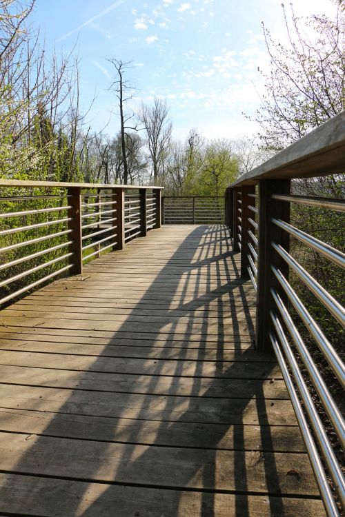 catwalk nature reserve shadow