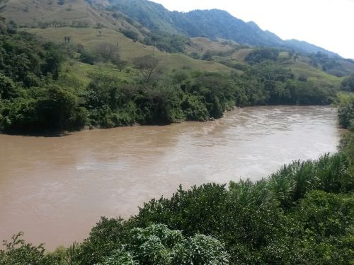 cauca river river trees