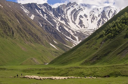 caucasus  georgia  truso valley