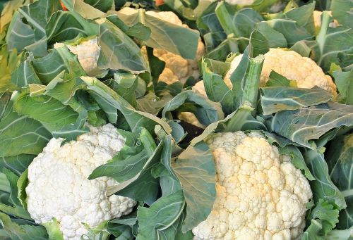 cauliflower market nutrition