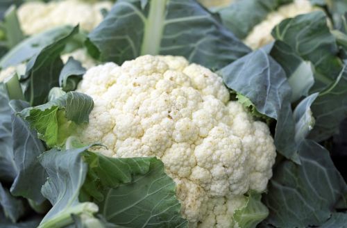 cauliflower vegetables food