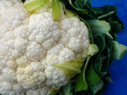 cauliflower  kohl  vegetables