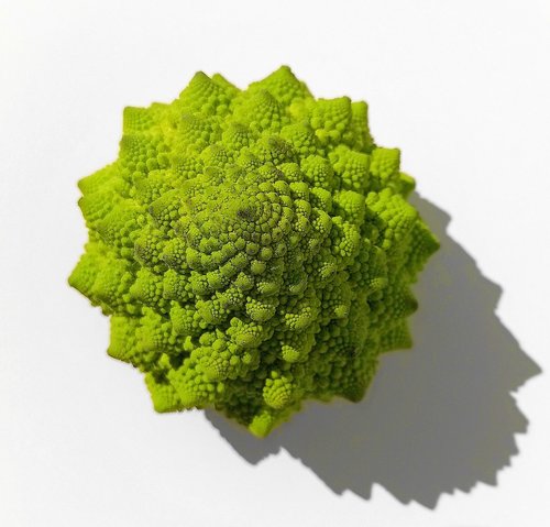 cauliflower  green  mandelbrot