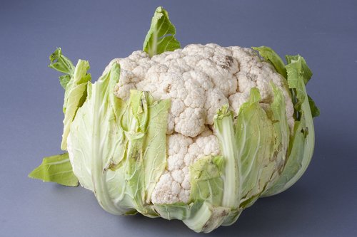 cauliflower  vegetable  white