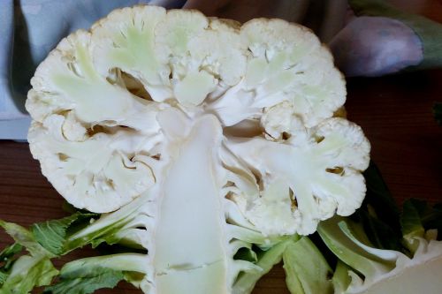 cauliflower sliced cabbage varieties
