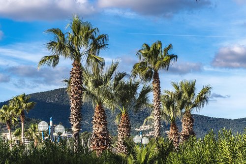 cavalaire sur mer  france  french riviera