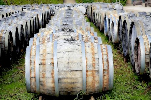 cave wine barrels