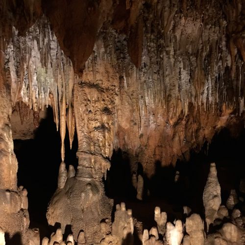 cave fossil underground