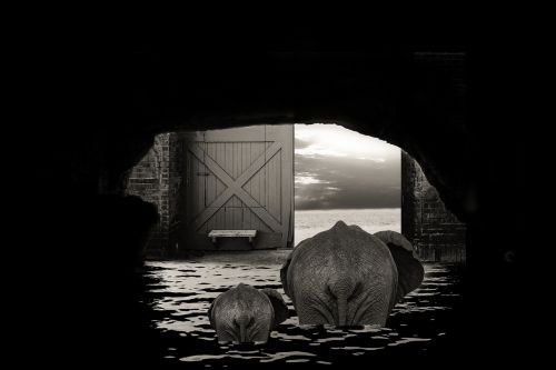 cave elephant door