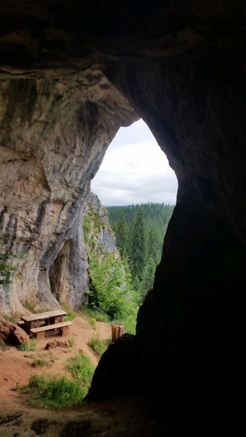 cave wood nature