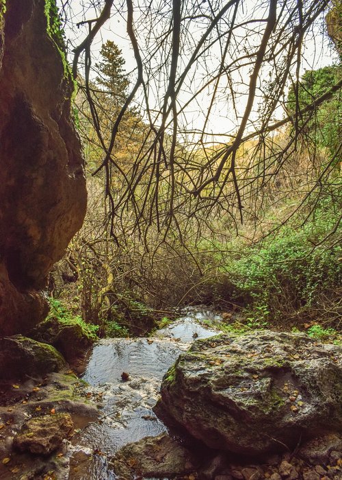 cave  creek  stream