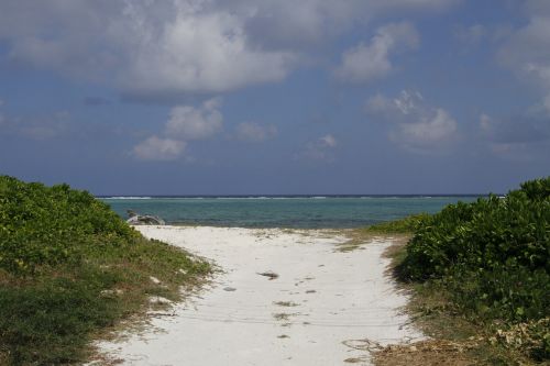 cayman islands island sand