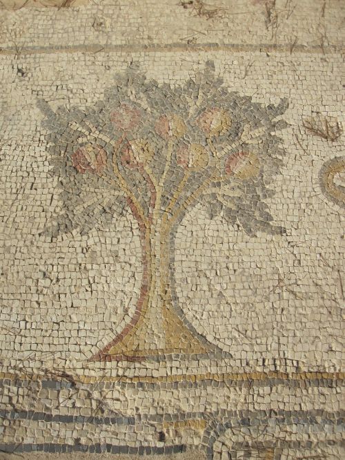 ceasaria mosaic ancient